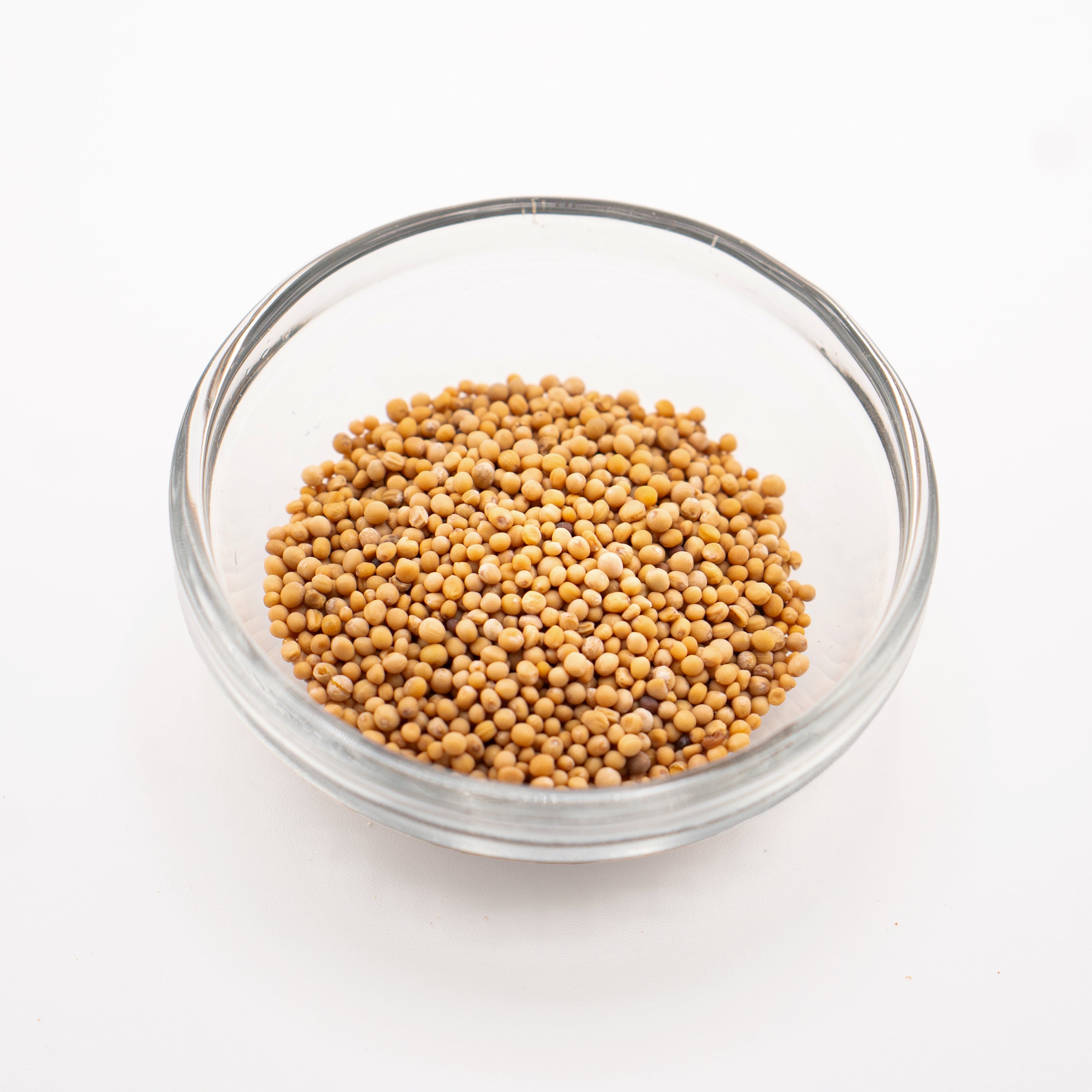Brown Mustard Seed - Protective Diet Brown Mustard Seed - Protective Diet